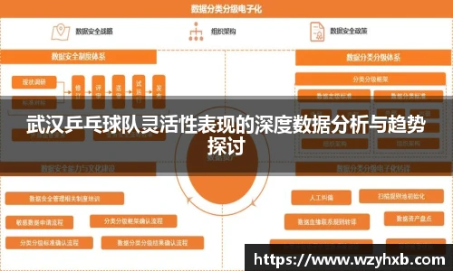 武汉乒乓球队灵活性表现的深度数据分析与趋势探讨